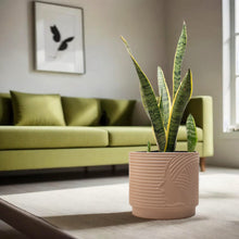 Cargar imagen en el visor de la galería, Maceta Terracota Elegance
