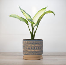 Cargar imagen en el visor de la galería, Maceta Tribal Azul