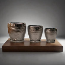 Cargar imagen en el visor de la galería, Maceta cerámica plateada