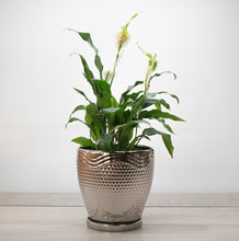 Cargar imagen en el visor de la galería, Maceta cerámica plateada