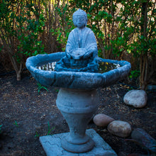 Cargar imagen en el visor de la galería, Pileta Buda