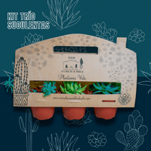 Cargar imagen en el visor de la galería, KIT DE SUCULENTAS