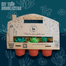 Cargar imagen en el visor de la galería, KIT DE SUCULENTAS