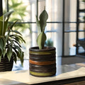 Sansevieria Moonshine – Elegancia Minimalista y Aire Puro en tu Hogar