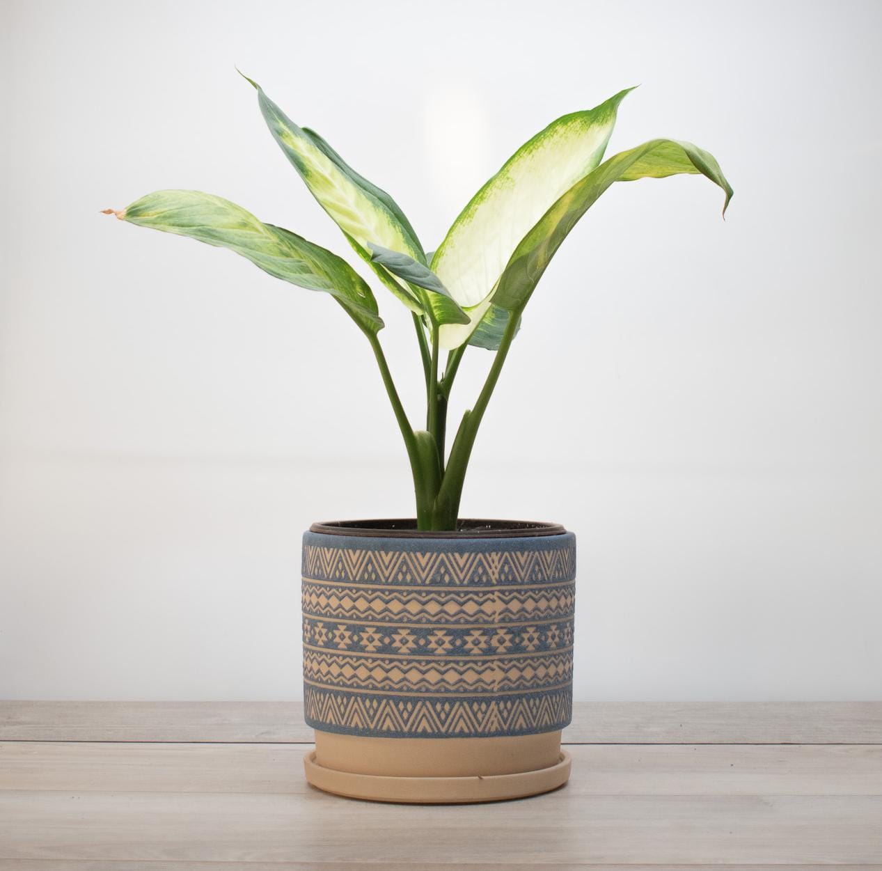 Maceta Tribal Azul