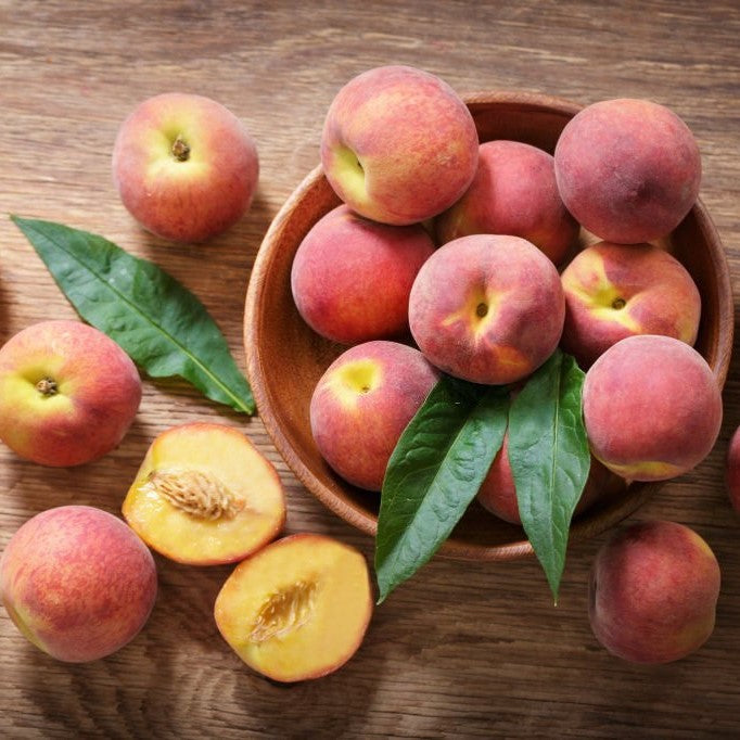 Durazno Conservero – El sabor dulce y tradicional que transforma tu jardín en un paraíso frutal