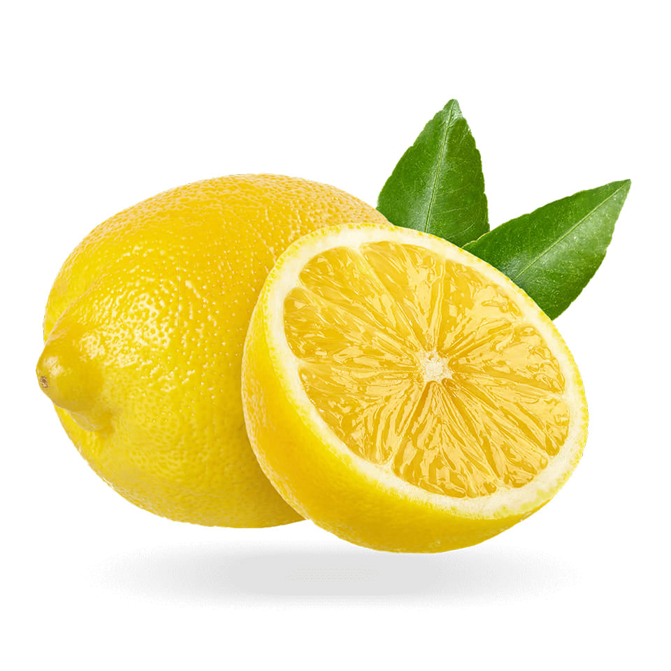Limón Eureka Frost – El frutal aromático que llena tu hogar de frescura y sabor todo el año