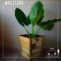 Maceta madera