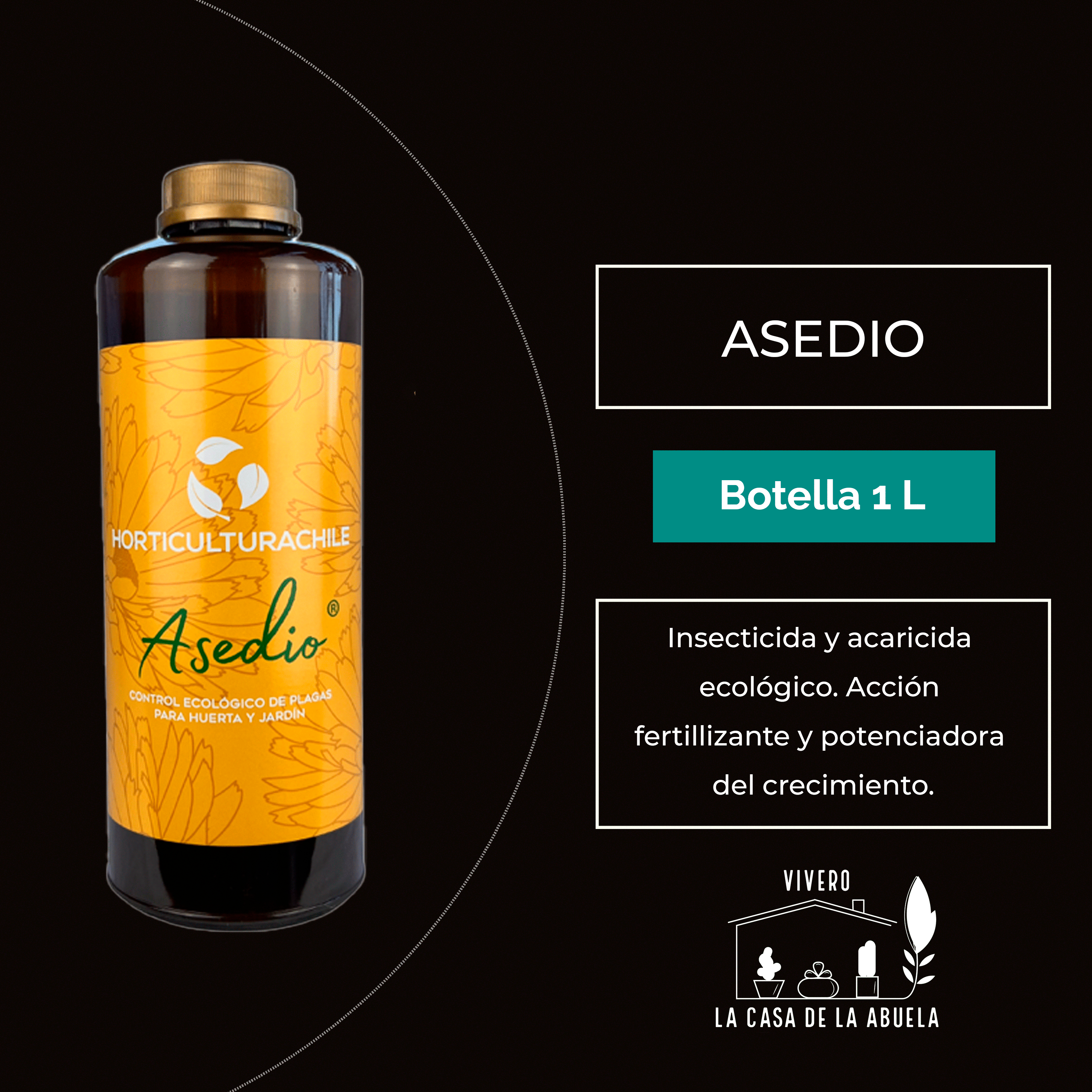 Asedio 1 Lt