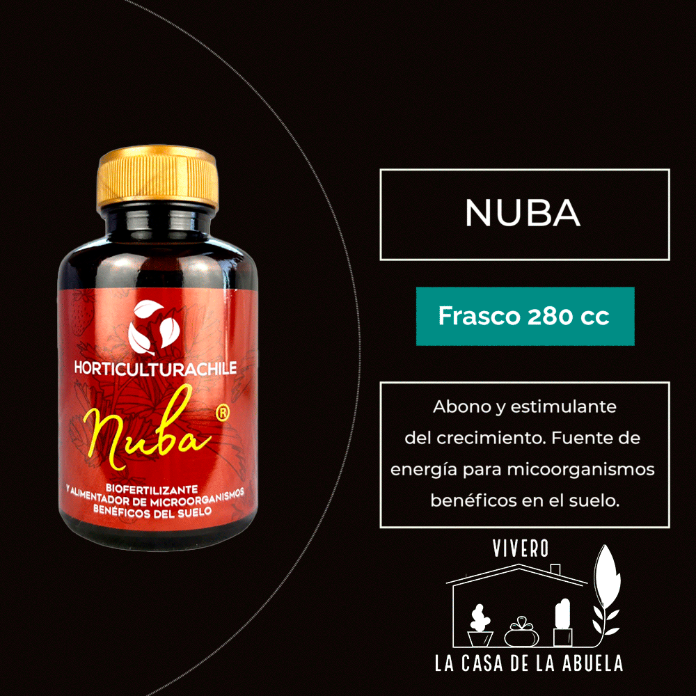 Nuba 280 Cc