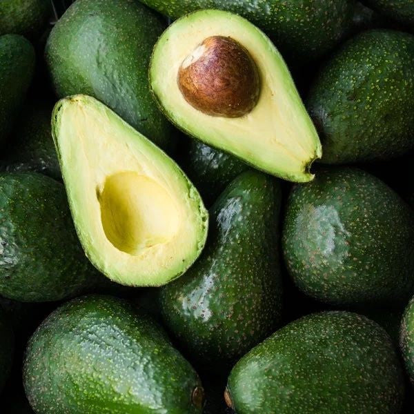 Palto Edranol – Sabor Cremoso y Cosechas Abundantes en Tu Propio Jardín
